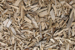 biomass boilers Medlar